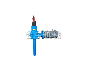 電(diàn)動絲杆升降(jiàng)機